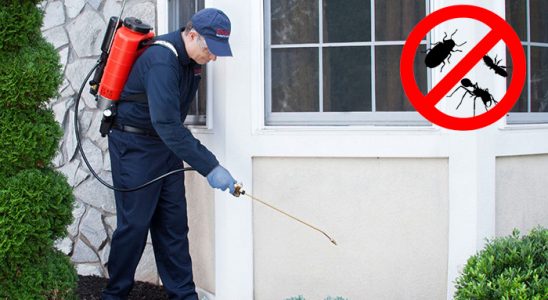 Seydiler Kene İlaçlama böcek ilaçlama ve haşere kontrolü — ilaclama-tr.com